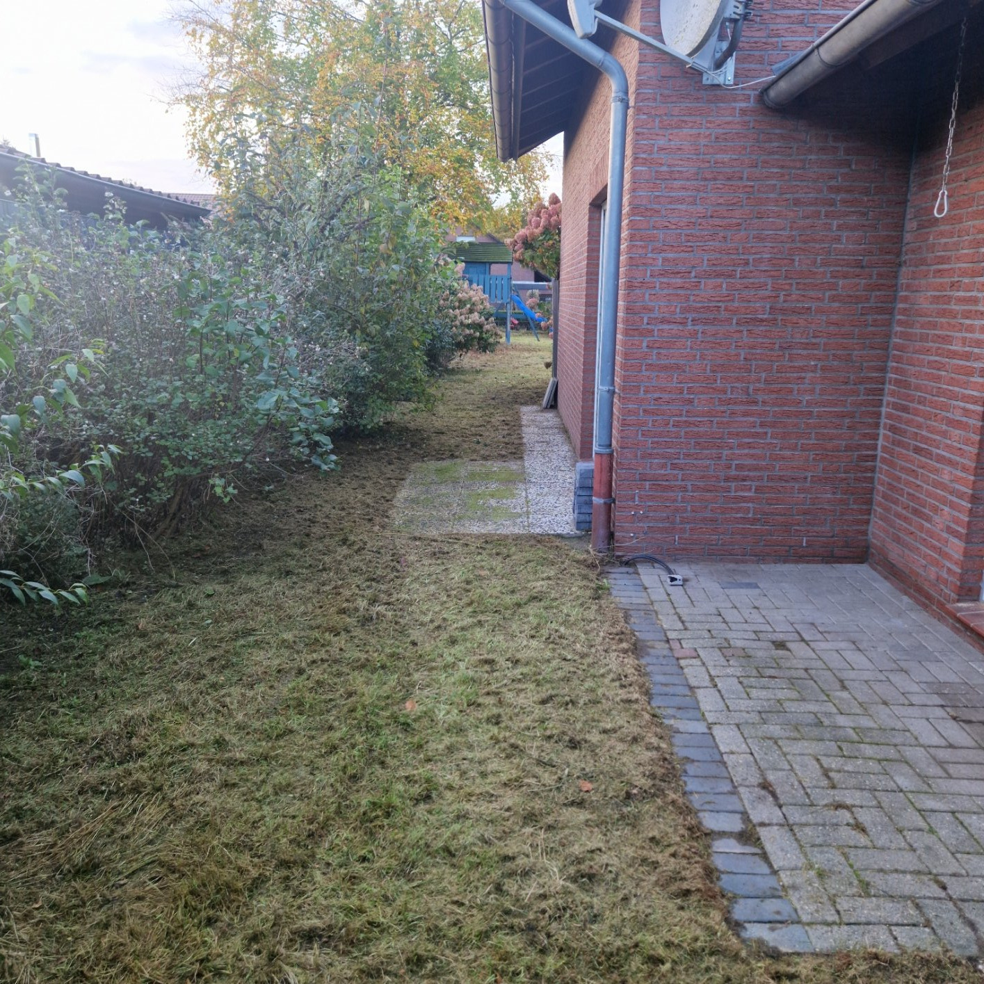 Garten wieder auf Vordermann bringen
