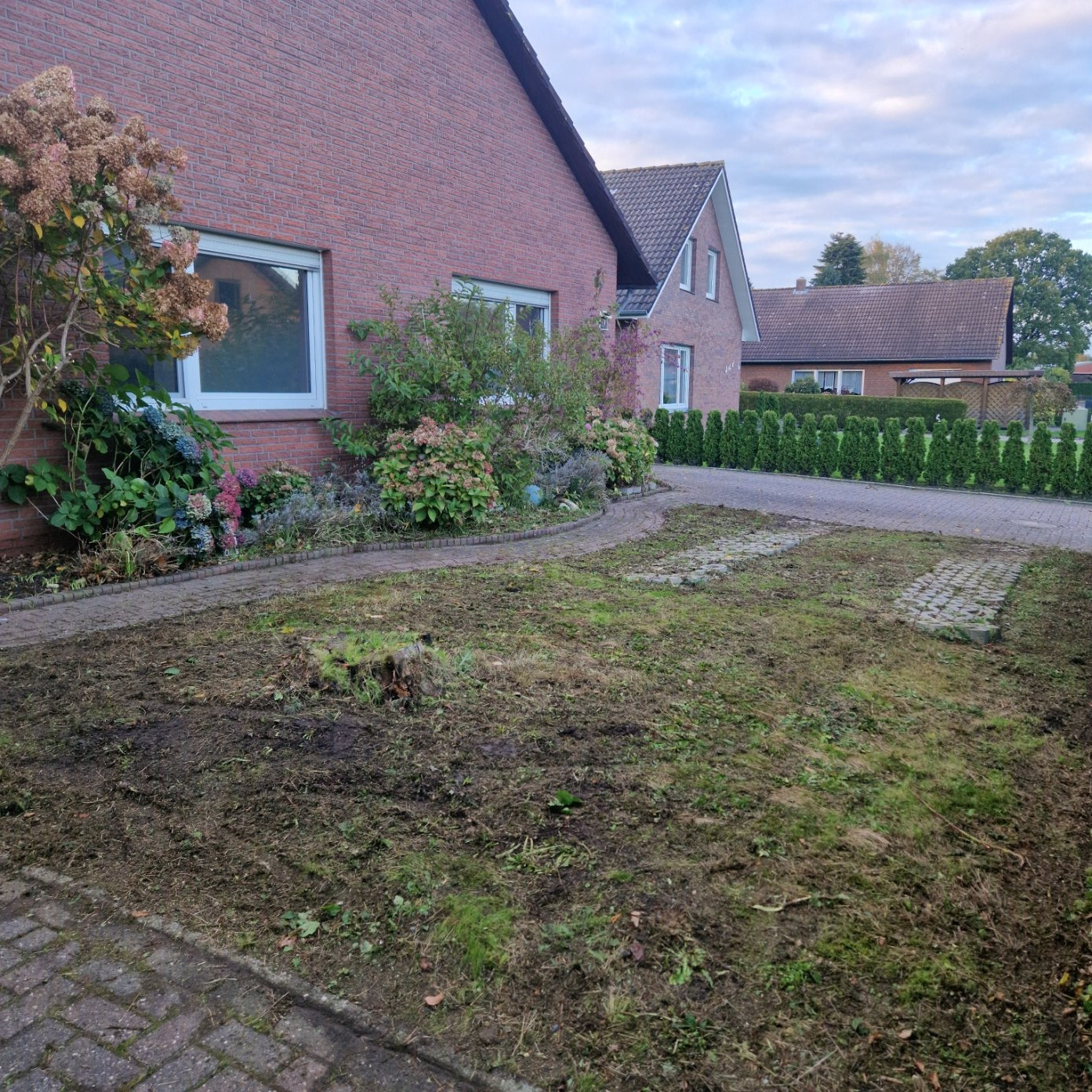 Garten wieder auf Vordermann bringen