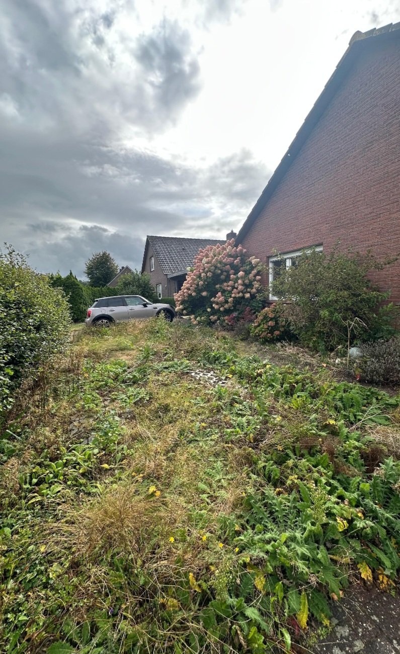 Garten wieder auf Vordermann bringen