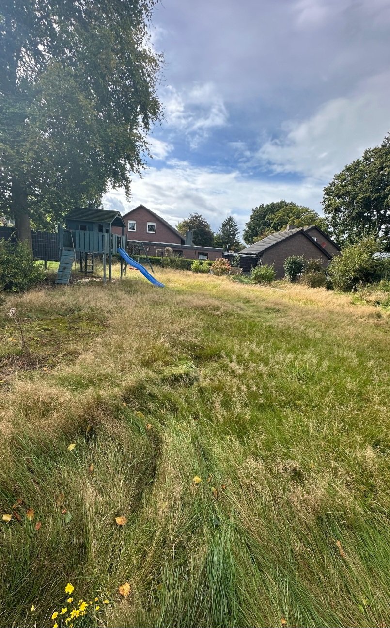 Garten wieder auf Vordermann bringen