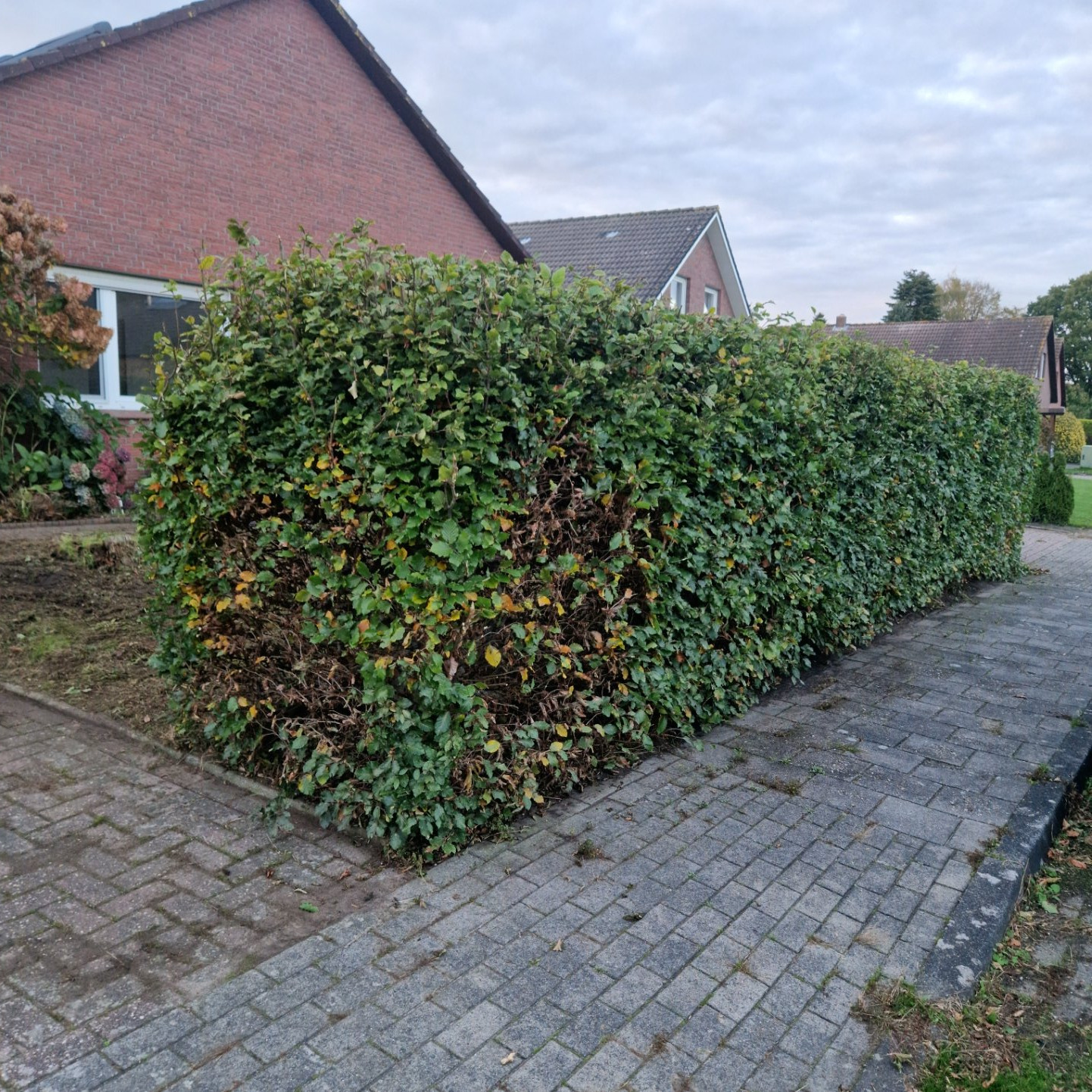 Garten wieder auf Vordermann bringen