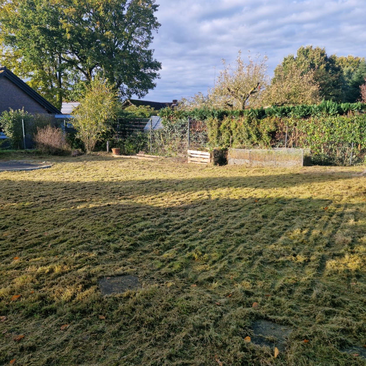 Garten wieder auf Vordermann bringen