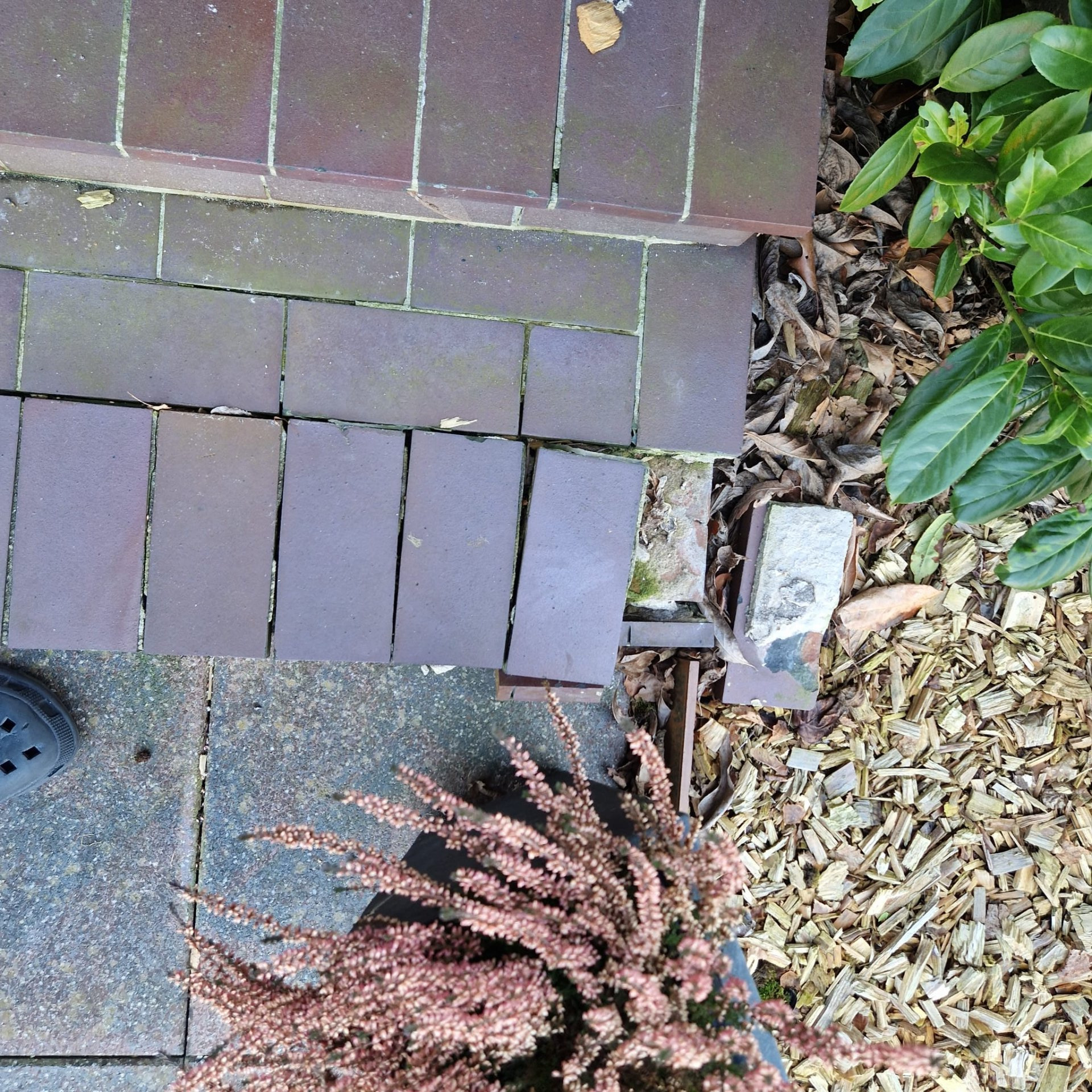 Hier wird nicht gestolpert, hier wird erneuert.